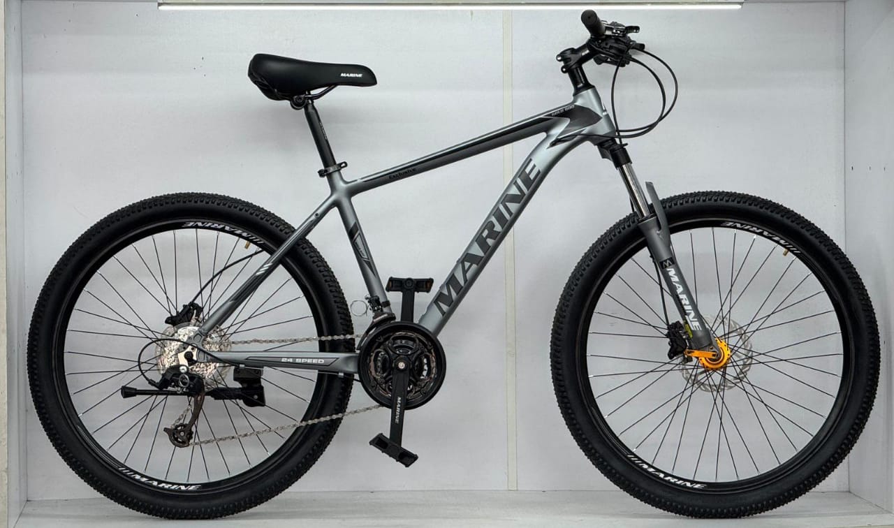 Marine Gold 600 Price in Bangladesh