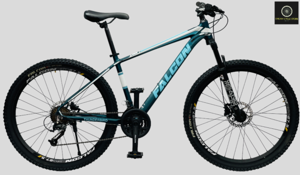 Falcon Thunderbird cycle price and details