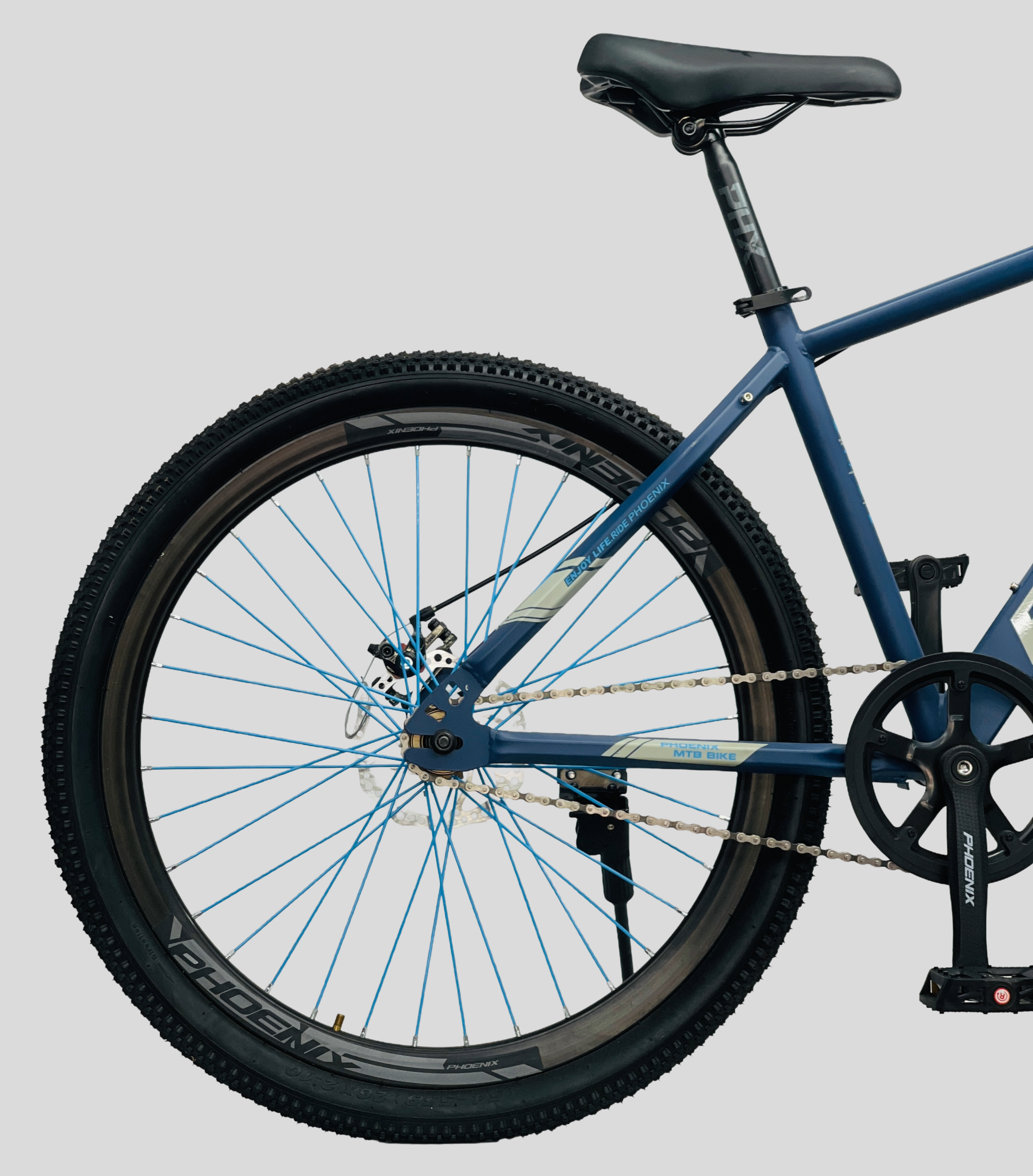 Phoenix Donald cycle price and details