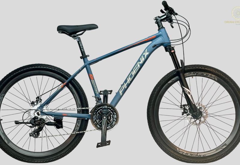 Phoenix spark-2 cycle price and details