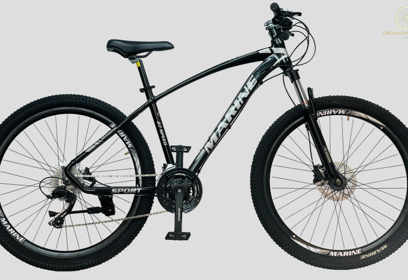 Marine Gold-700 cycle price and Details