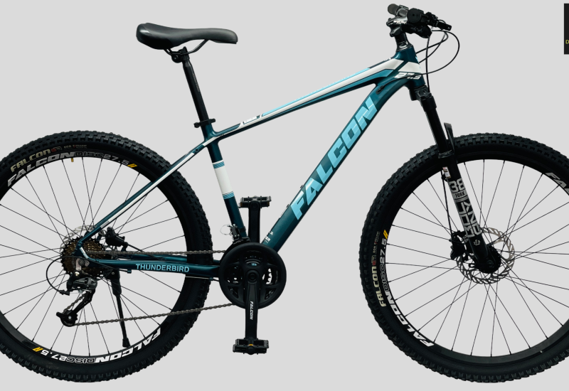 Falcon Thunderbird cycle price and details