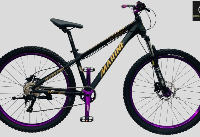 Marine Stunt machine cycle price and details